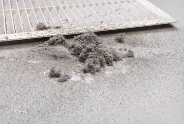 Air Duct Mold Removal in KS