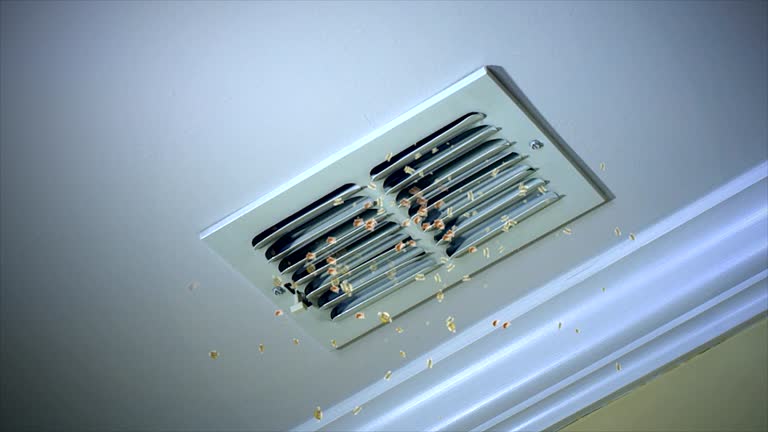 Best Ventilation Cleaning Services  in Atwood, KS